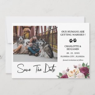 Custom Photo Burgundy Floral Dog Theme Save The Date