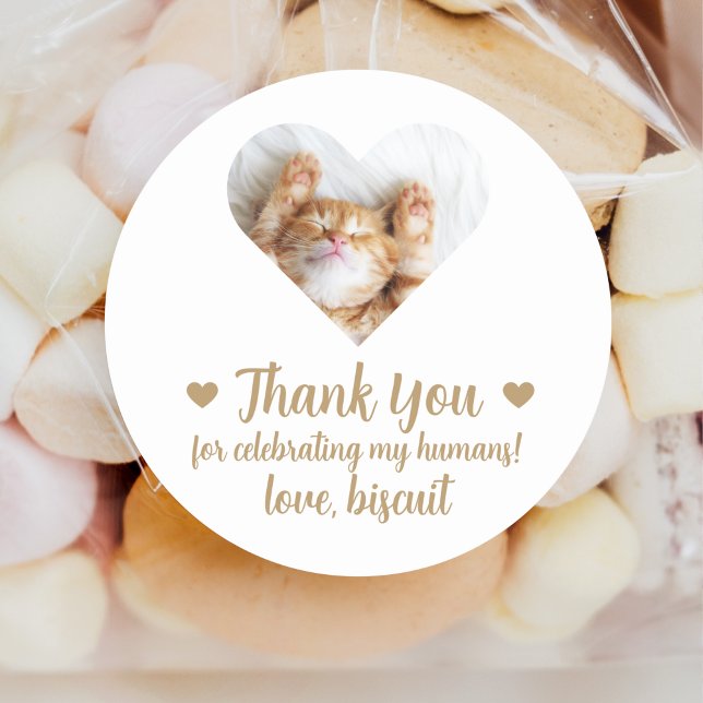 Custom Photo Cat Wedding Favour Stickers (Creator Uploaded)