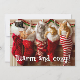 Custom Photo   Christmas Kittens in Stockings Holiday Card
