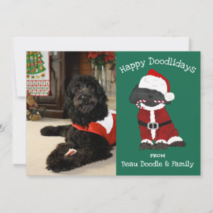 Doodle Cards | Zazzle UK