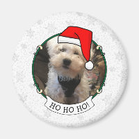 Custom Photo Christmas Santa Hat Pet HO HO HO