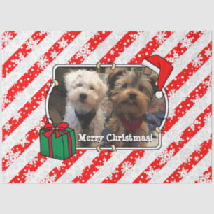 Custom Photo Christmas Santa Hat Pet HO HO HO Tissue Paper