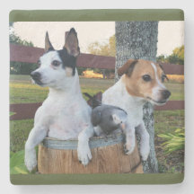 Custom Photo Coaster