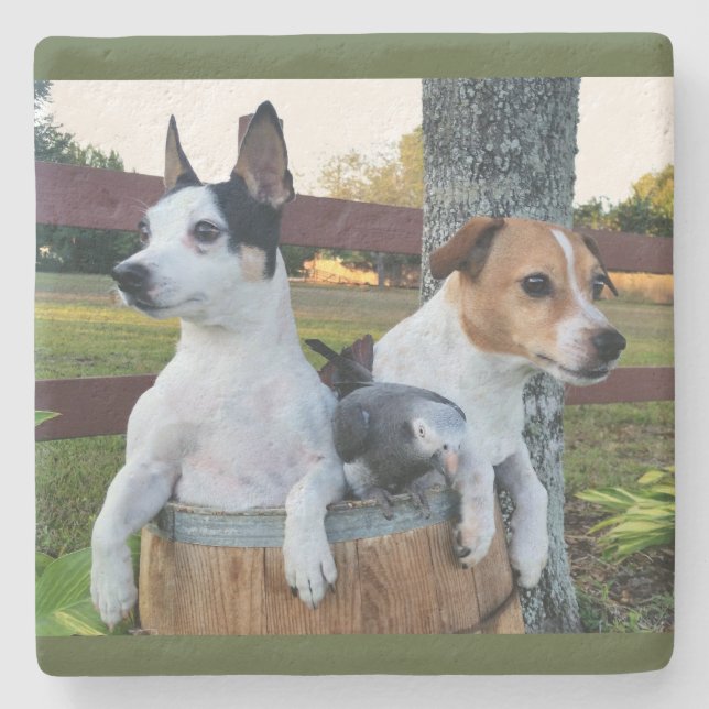 Custom Photo Coaster (Front)
