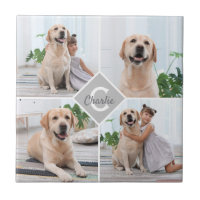 Custom Photo Collage Monogram Name Dog