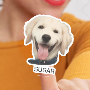 Custom Photo Dog Cat Pet   Personalized Photo