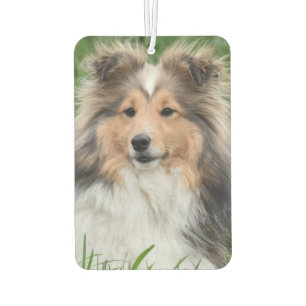 Custom Photo Dog Pet Memorial Photo Car Air Freshener