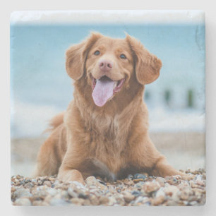 Custom Photo Dog Stone Coaster
