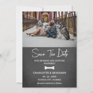Custom Photo Dog Theme Modern Save The Date