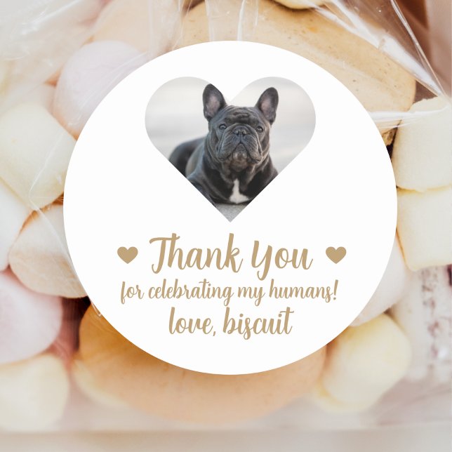 Custom Photo Dog Wedding Favour Stickers (Creator Uploaded)