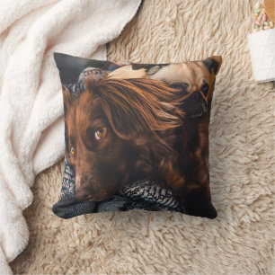 Custom Photo Double Sided Dogs Cushion