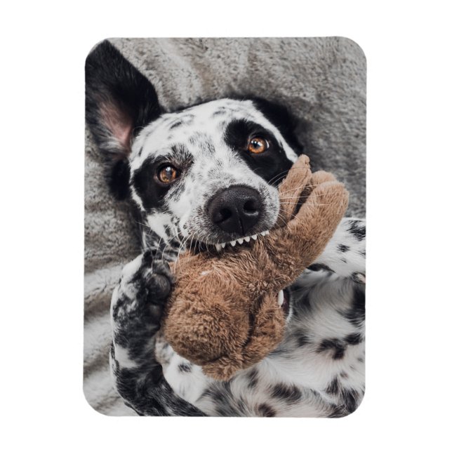 Custom Photo Fridge Magnet (Vertical)