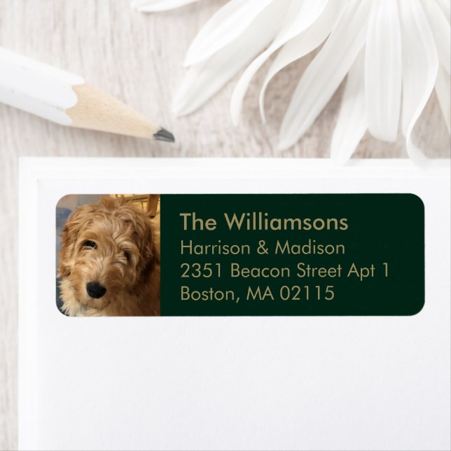 Custom photo gold dark green Return Address (Insitu)