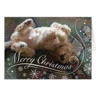 Custom Photo Golden Doodle Merry Christmas