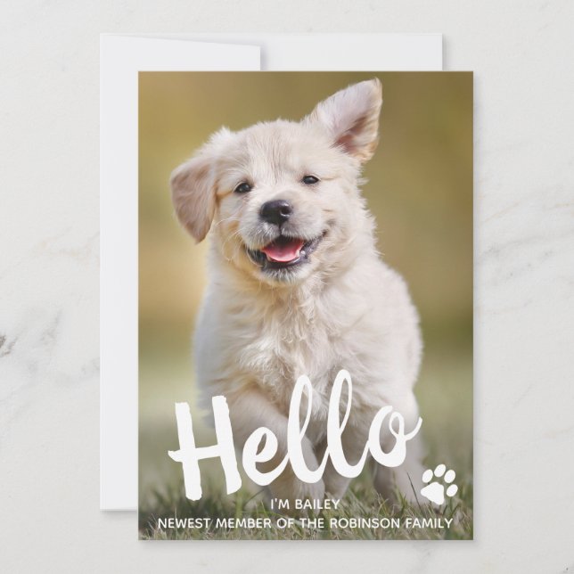 Custom Photo Hello New Pet Puppy Dog Announcement (Front)