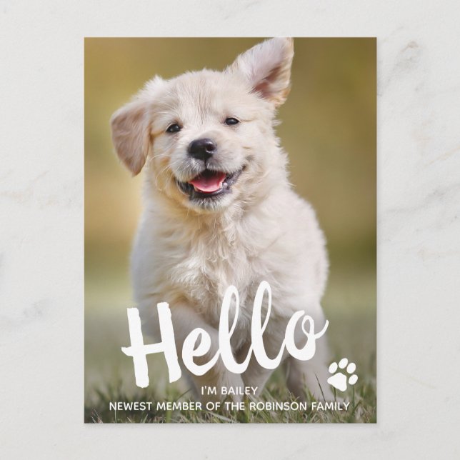 Custom Photo Hello New Pet Puppy Dog Announcement Postcard (Front)