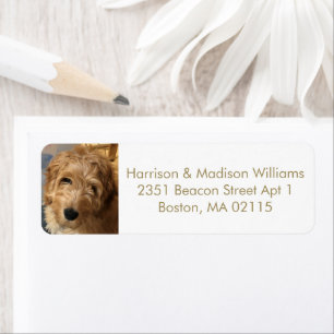 Custom photo image gold modern Return Address