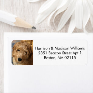 Custom photo image modern cute Return Address 
