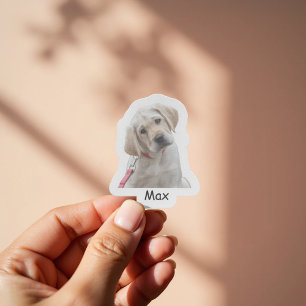 Custom photo Labrador Retriever puppy