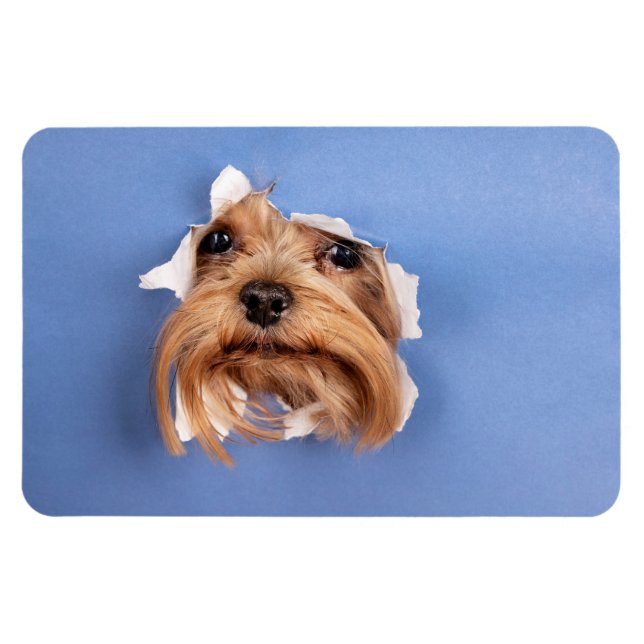 Custom Photo Magnet (Horizontal)