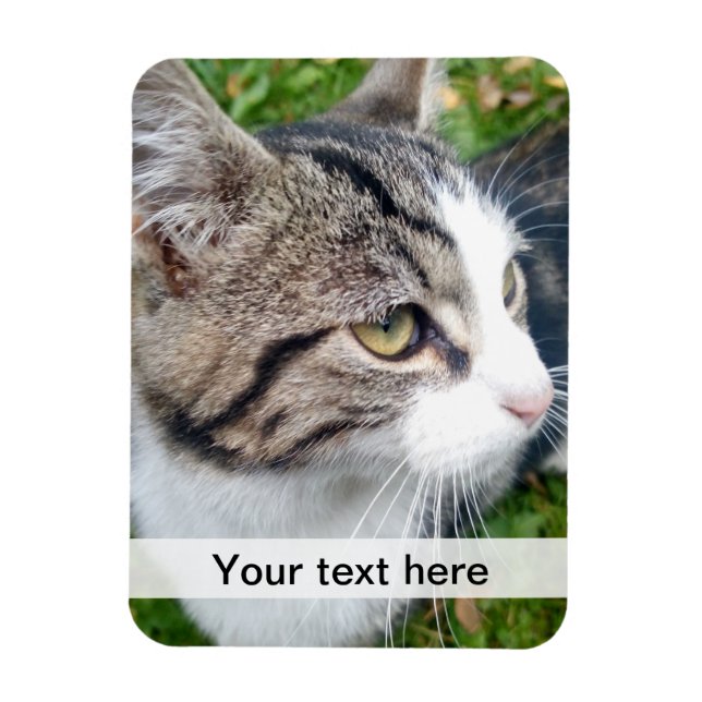 Custom photo magnet | Upload your image here (Vertical)