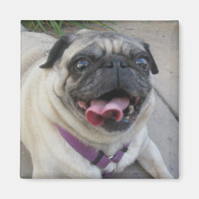 Custom Photo Magnets (Front)