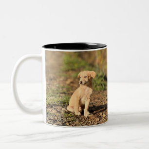 Custom Photo Modern Cool Elegant Create Your Own Two-Tone Coffee Mug