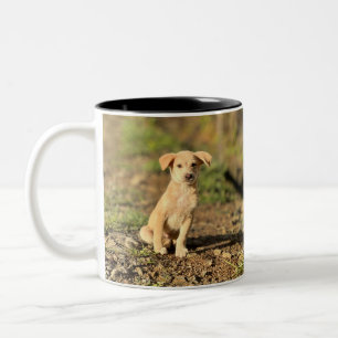 Custom Photo Modern Cool Elegant Create Your Own Two-Tone Coffee Mug