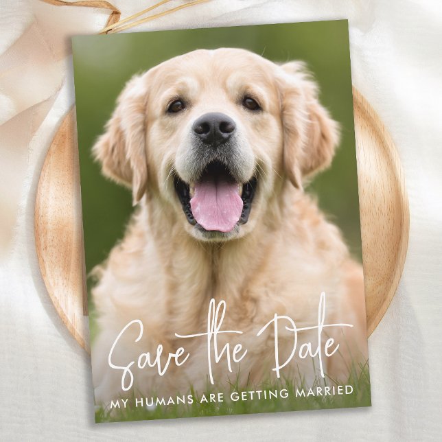 Custom Photo Modern Simple Elegant Pet Dog Wedding Save The Date (Creator Uploaded)