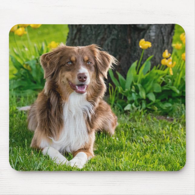 Custom Photo Mouse Mat (Front)