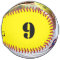 CUSTOM Photo/Name/Team/Position/Number Softball