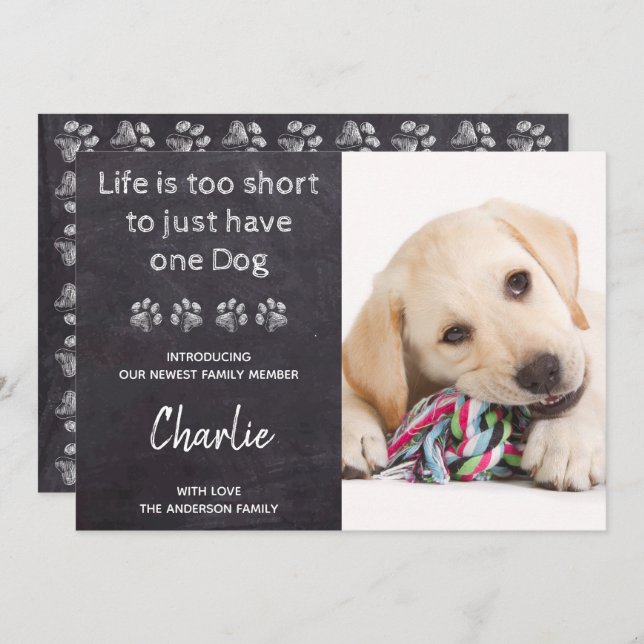 Custom Photo New Pet Dog Puppy Shower Invitation (Front/Back)