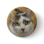 Custom Photo Or Other Image Pinback