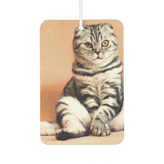 Custom Photo Personalised Pet Car Air Freshener (Front)