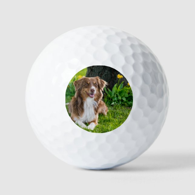 Custom Photo Personalised Pet Golf Balls (Front)