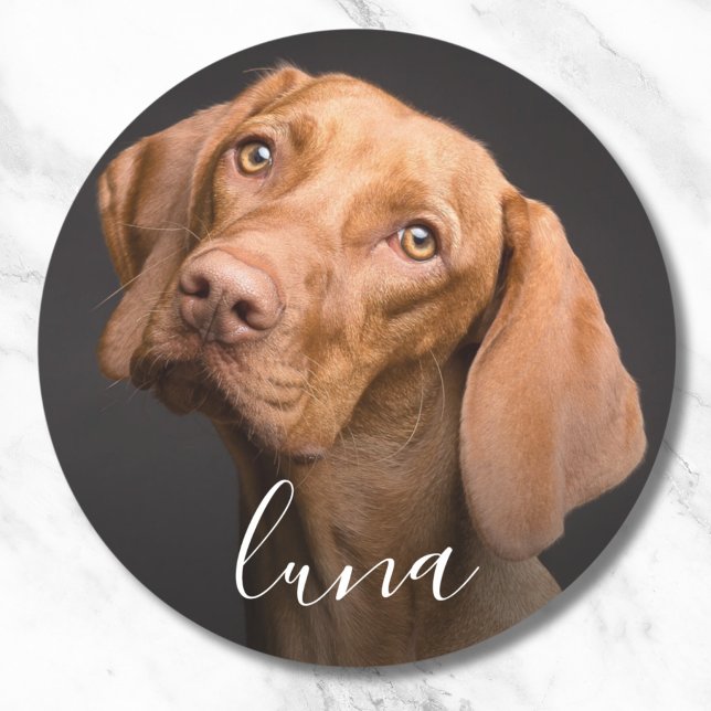 Custom Photo Personalised Pet Name  Classic Round Sticker (Pet Photo Sticker Label)