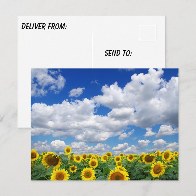 Custom Photo Personalised  Postcard (Front/Back)