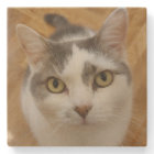 Custom Photo Personalised