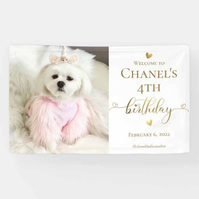 Custom Photo Pet Dog Birthday Typography Gold Banner (Horizontal)