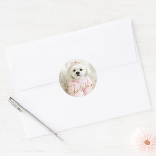Custom Photo Pet Dog Birthday Typography Gold Classic Round Sticker