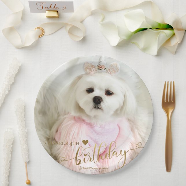Custom Photo Pet Dog Birthday Typography Gold Paper Plate (Wedding)