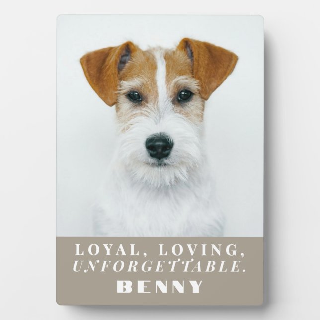 Custom Photo Pet Loss Dog Memorial Keepsake Modern Plaque (Front)