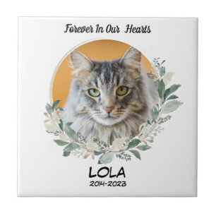 Custom Photo Pet Memorial Stone Loss of Cat Tile