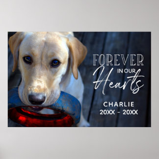 Custom photo pet memorial with typography poster