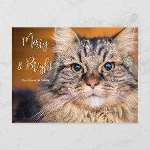 Custom Photo Pet Merry and Bright  Holiday Card
