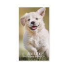 Custom Photo Pet Puppy Dog Social Media QR Code