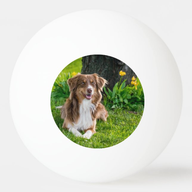 Custom Photo Ping Pong Ball (Front)