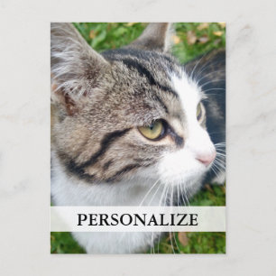 Custom photo postcards Add your image here