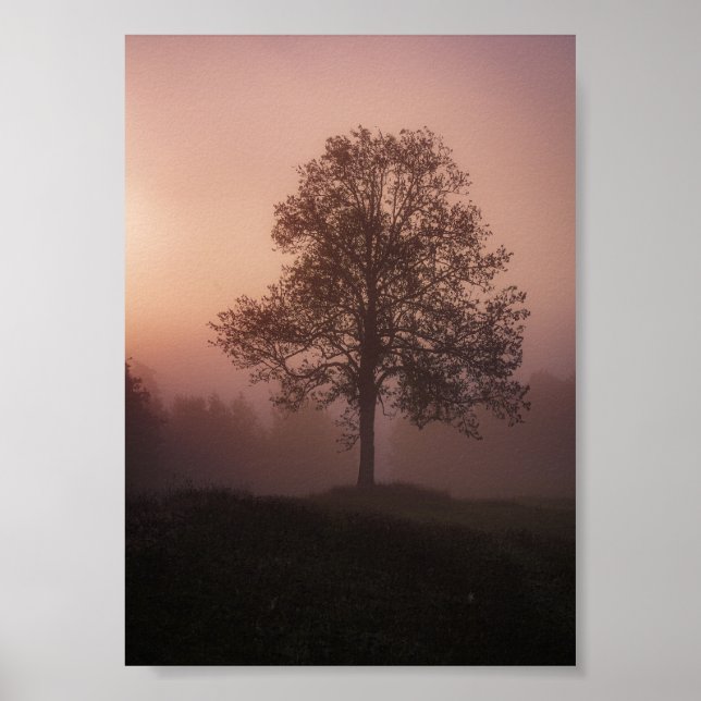 Custom photo  poster (Front)
