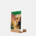 Custom Photo Print And Wooden Holder Stand